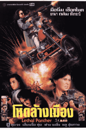 Download Lethal Panther (1990) BluRay Dual Audio {Hindi-English} 480p [350MB] | 720p [950MB] | 1080p [1.8GB]