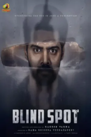 Download Blind Spot (2025) Hindi-DD5.1 (Multi-Audio) WeB-DL 480p [470MB] | 720p [1.1GB] | 1080p [2.5GB]