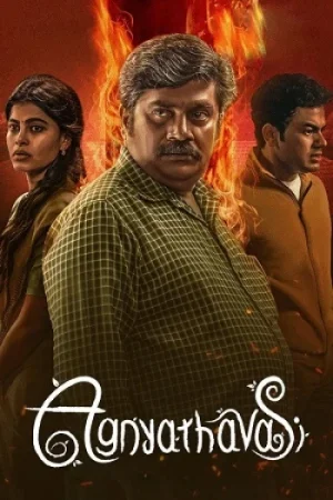 Download Agnyathavasi (2025) UnCut Dual Audio [Hindi + Kannada] WeB-DL 480p [630MB] | 720p [1.1GB] | 1080p [2.3GB]